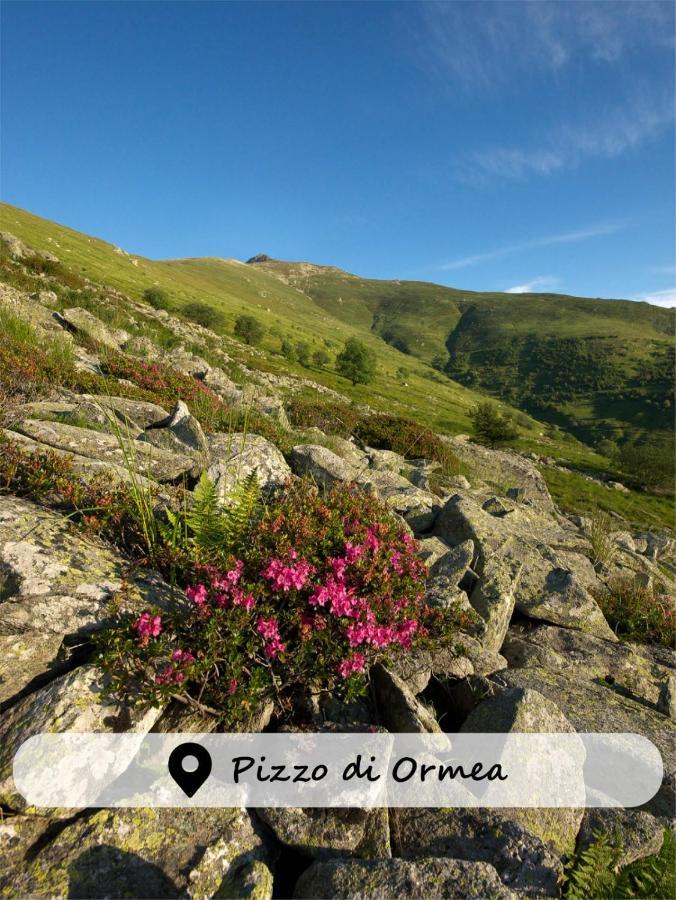 Albergo Ristorante Payarin Ormea Екстер'єр фото